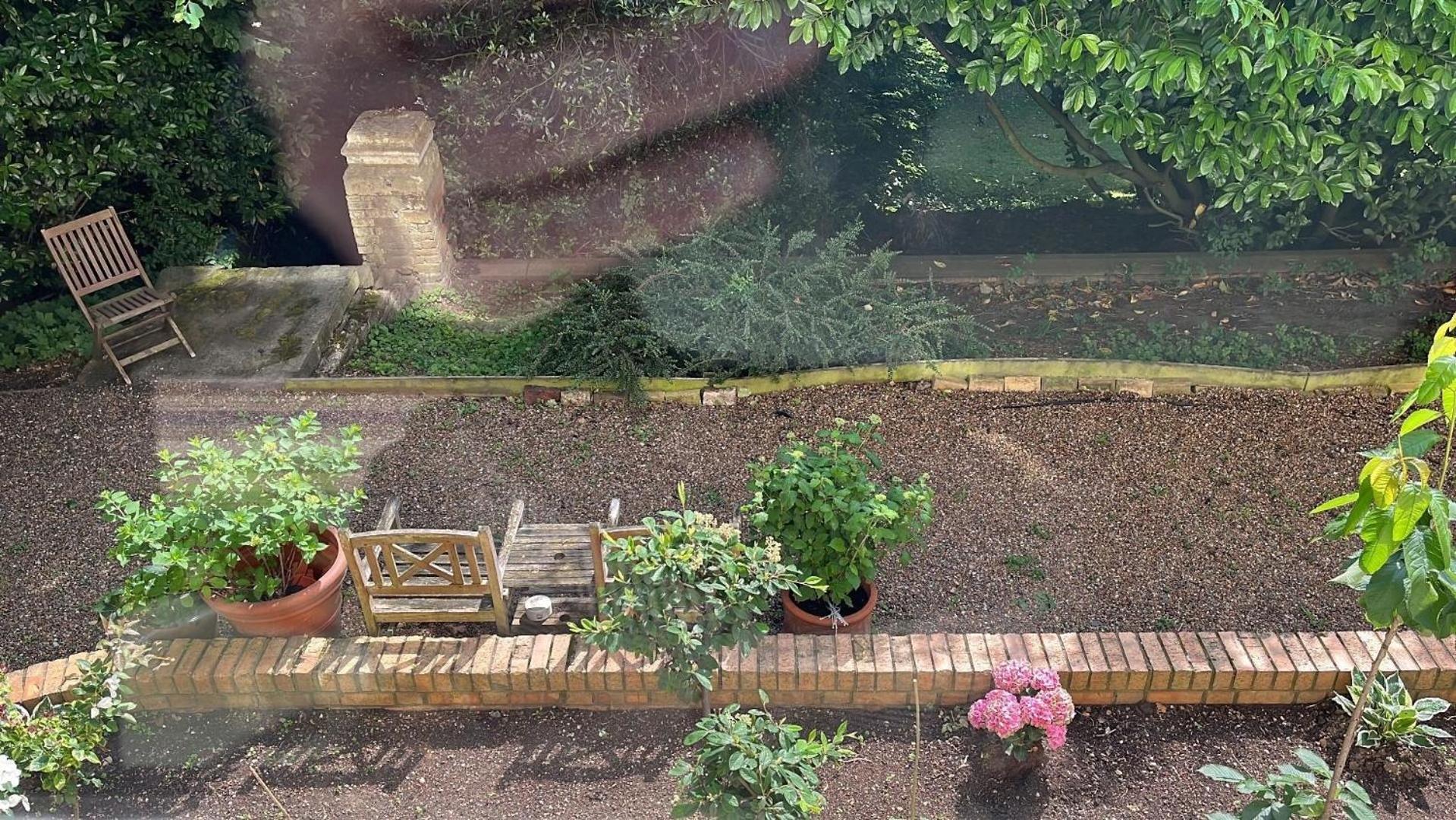 In Einer Mit Herrlichem Garten Und Katze Londra